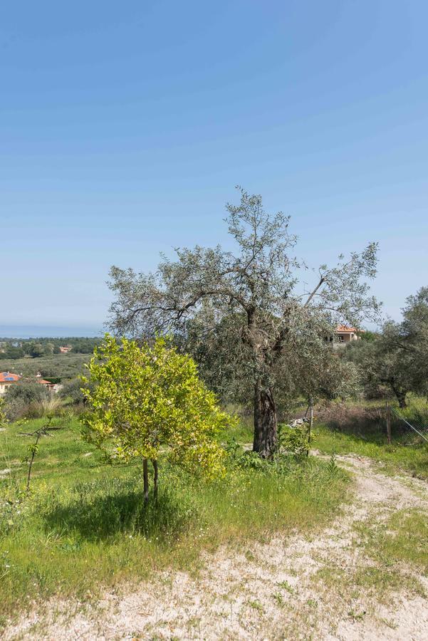 Vourvourou Sea View Villa Bagian luar foto