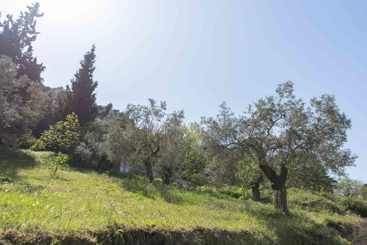 Vourvourou Sea View Villa Bagian luar foto